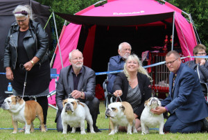 opd-b%c3%b8s%c3%b8re19